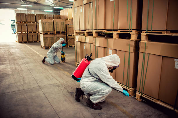 Best Pest Prevention Services  in Alum Rock, CA