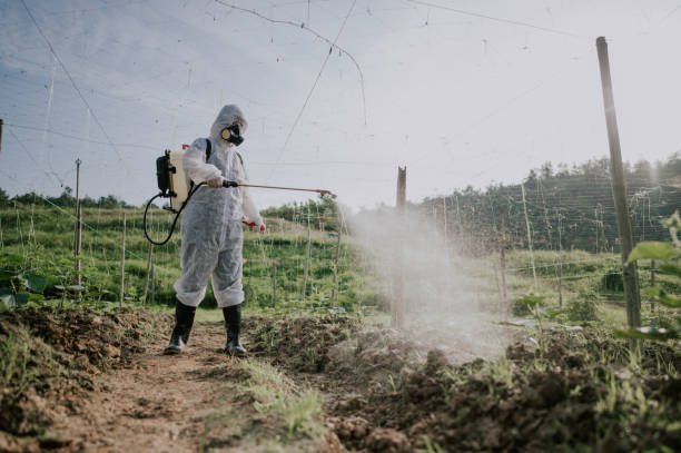 Best Best Pest Control Companies  in Alum Rock, CA