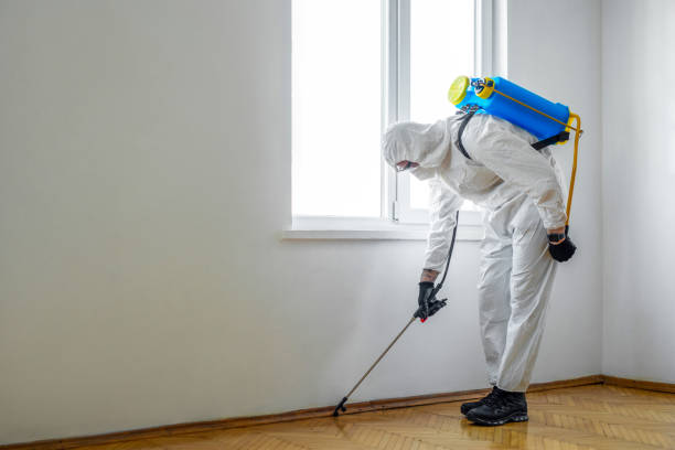 Best Wildlife Control Services  in Alum Rock, CA