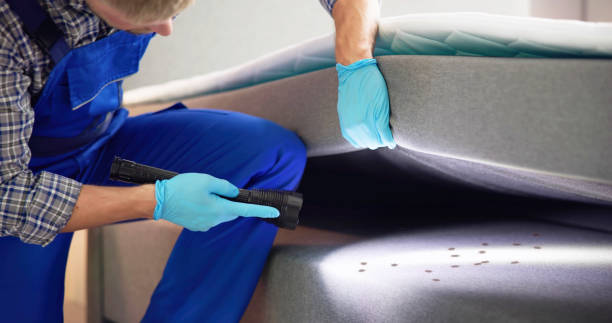 Best Flea Control Services  in Alum Rock, CA