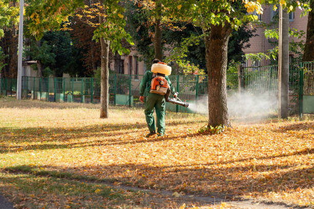 Best Pest Control for Restaurants  in Alum Rock, CA